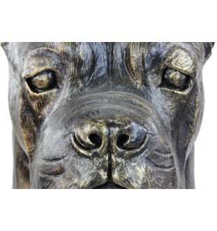 Cane Corso duża głowa z żywicy Art-Dog